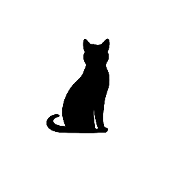 Bengal & Savannah Kittens