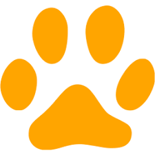 bengalandsavannahkittens.com